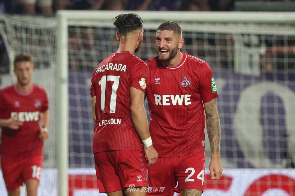 的过度依赖 的过度依赖